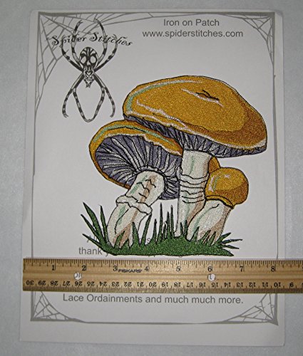 Encuentra la mejor selección de Boletus edulis que puedes comprar esta semana. 13 Imagen adicional