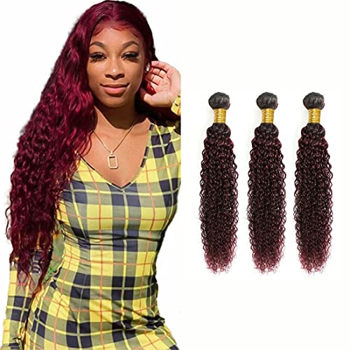 YesJYas Ombre Human Hair Bundles Red Bundle 1b99j Water Wave Brazilian Virgin Human Hair Two Tone Burgundy Hair Extensions 3 Bundles Burgundy Ombre Hair Extensions 100g/Pcs 24 26 28 Inch