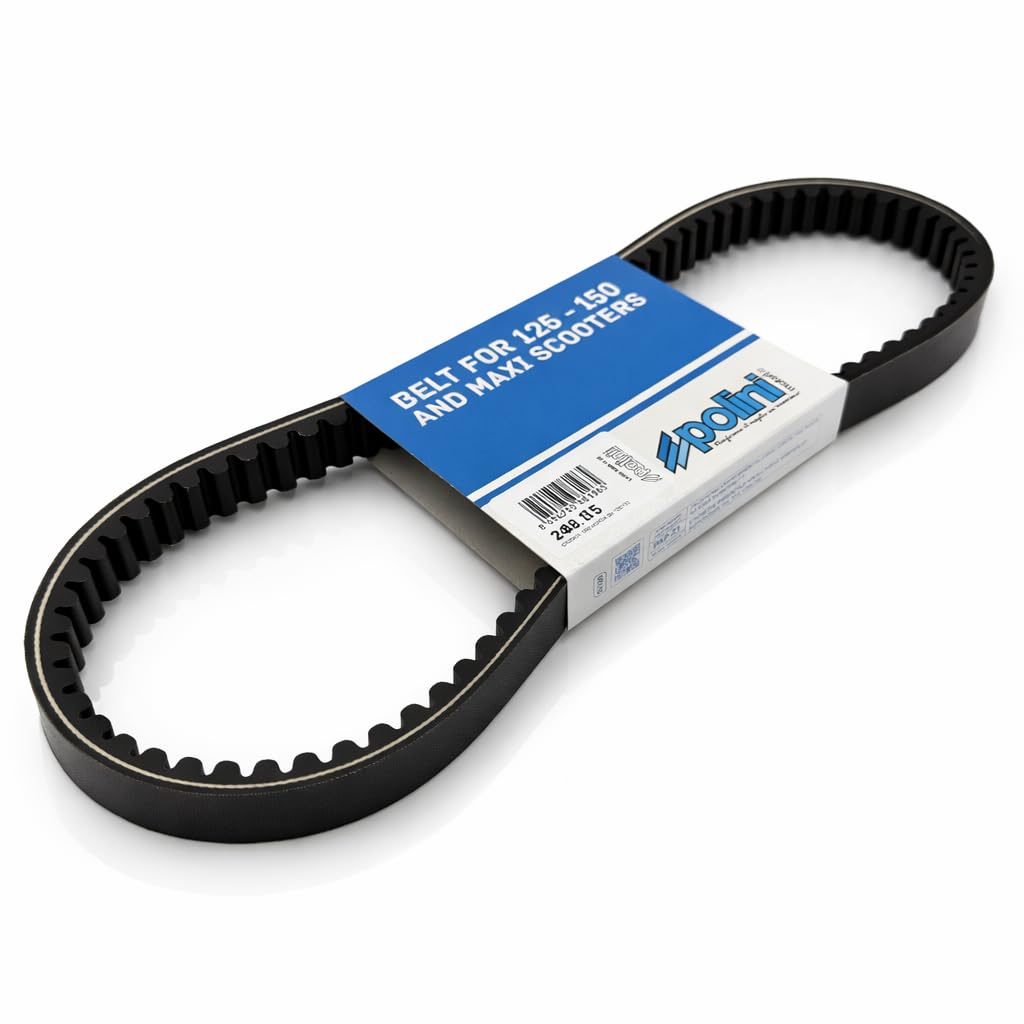 248.115 - CINGHIA DI TRASMISSIONE COMPATIBILE CON SH 125/150 CHIOCCIOLA 125 NES 150 BALI 125/150 DYLAN 125 150 KEEWAY OUTLOOK 125 KEEWAY OUTLOOK 150 PANTHEON 125 150 PS 125i 150i S WING 125 150