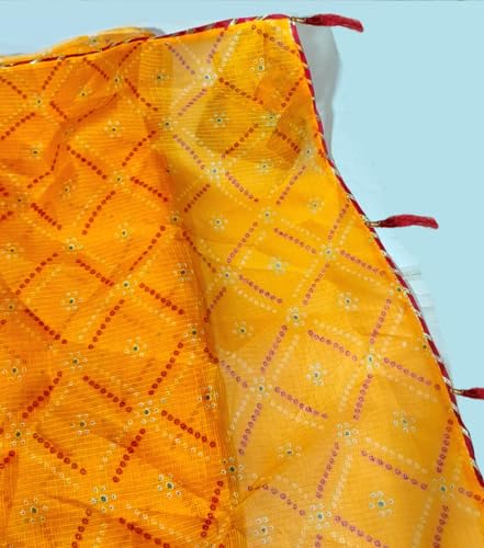 Image of Lado Rani Kota Doria Cotton Silk Flower Print sarees with blouse