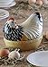 Mason Cash Mother Chip Resistant Hen Nest Egg Storage, Ceramic, Multi-Colour, 21 x 16.5 x 18 cm