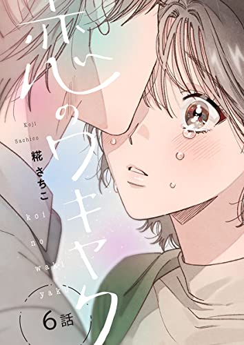 恋のワキヤク(6) (カルコミ)