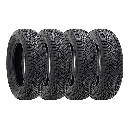 ミネルバ　4本セット 205/60R16 タイヤ サマータイヤ MINERVA（ミネルバ） 4本セット 205/60R16 タイヤ サマータイヤ F209