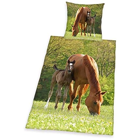 Herding YOUNG COLLECTION Bedding Set, Horse Motif, Duvet Cover 135 x 200 cm, Pillow Case 80 x 80 cm, Cotton/Renforcé Cover