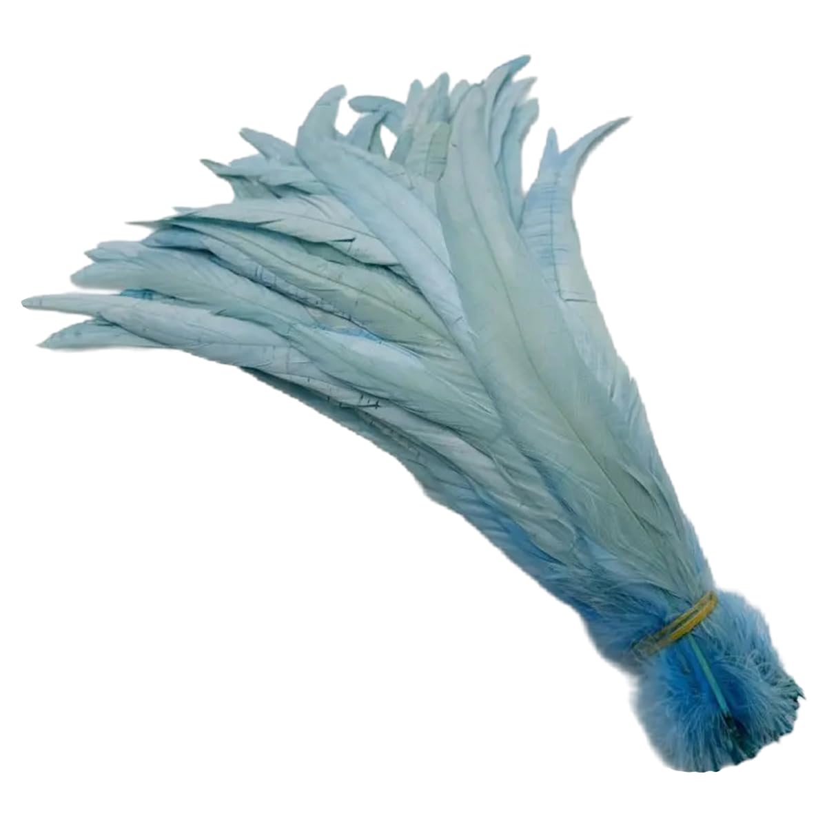 Amazon.com: Queenbox 11.8-13.8in 100pcs Long Cock Feathers