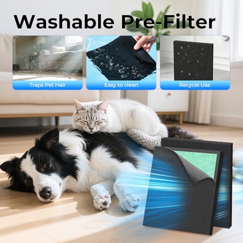 Image of Genuine ET066 Air Purifier Replacement Filter for ET066 Air Purifier, Washable HEPA 3-Stage Filtration for Pollen Smoke Pet Hair Dust, Pet Dander Version, 2 Pack
