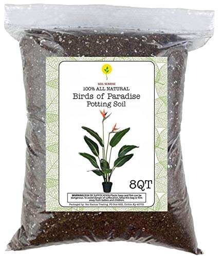 Bird of Paradise Planting Soil, Hand Blended All Natural Potting Mix for Planting, Growing, or Repotting Bird of Paradise Plant, Potting Soil for Bird of Paradise, Small Batch Hand Blended 8QT Bag
