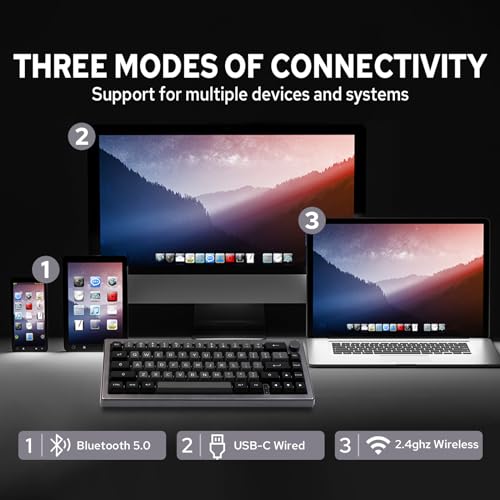 EK68 65% Guarnizione NKRO Hot Swappable Triple Mode Tastiera da Gioco Meccanica con Manopola, LED Rivolto a sud, Retroilluminazione RGB per Win/Mac (Nero Argento, Flamingo Switch) - Tastiera gaming - Immagine 2