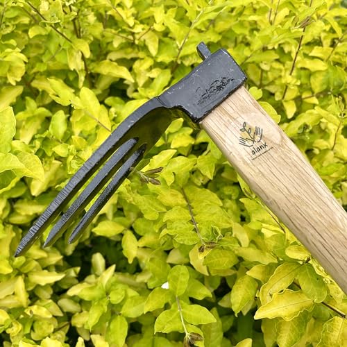 Azada manual de jardín de 14 pulgadas alanx con mango de roble miniatura 6
