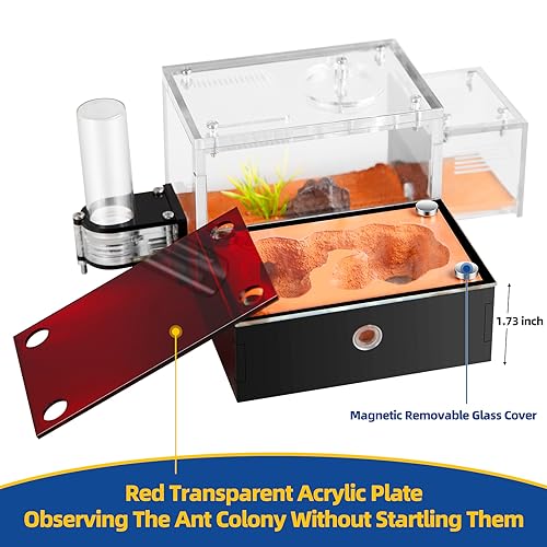 Rimsunta Ant Farm Ant House for ant Farm for Adults Study of Ant Behavior Ant Nest ant Terrarium Educational Formicarium for Live Ants and Queen - Image 3