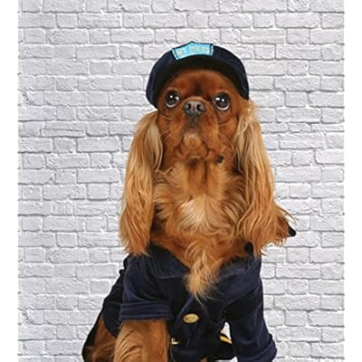 Mazali rus sexy ayollar