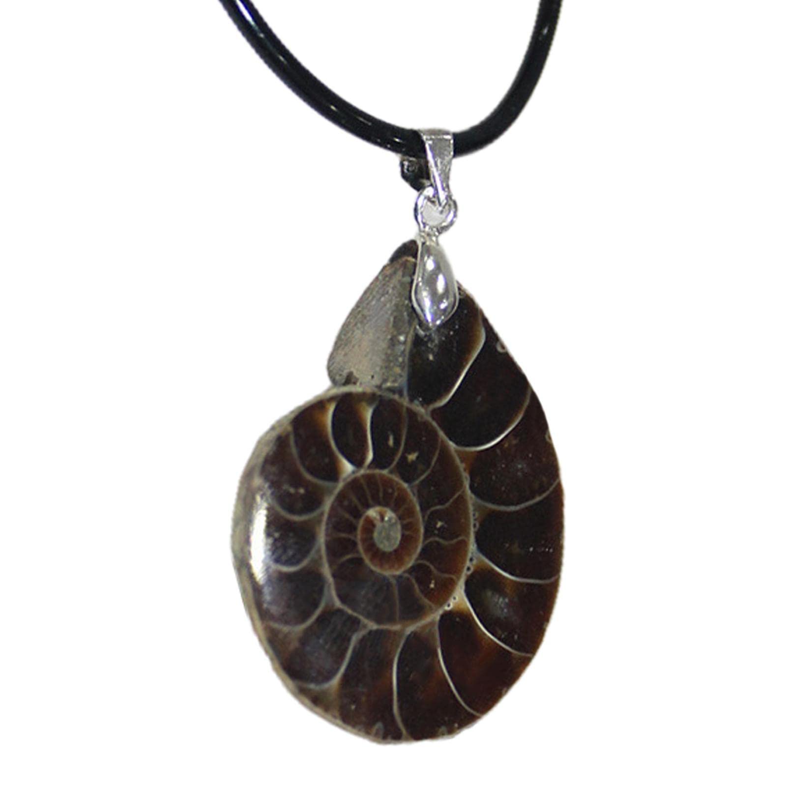 FASSME Snail Fossils Pendant | Natural Stone Ammonite Fossils Snail Pendant Necklace | Seashell Mineral Specimen for Women Men
