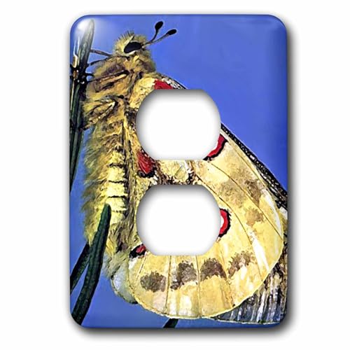 Cache-prise Beautiful Moth 2 par 3dRose LLC lsp_588_6
