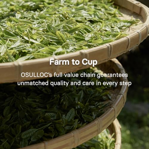 Image of OSULLOC Volcanic Isle Matcha Powder, Ceremonial Grade Korean Matcha, Green tea powder from Jeju Island (1.41oz, 40g)