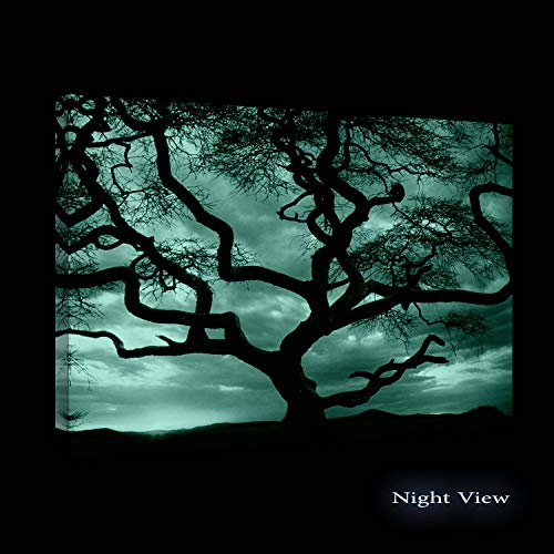 Startonight Quadro su Tela Stupefacente Tramonto