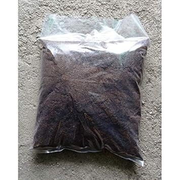 Plantogallery® Peat Moss Use for Indoor & Outdoor Plants Hydroponic Seeds Germination Ready to Use 950gm. - image, photos