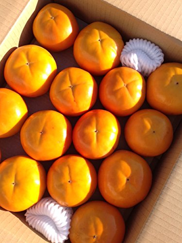 ƂI@` a̎RY@xL`@3.5L@M`QL