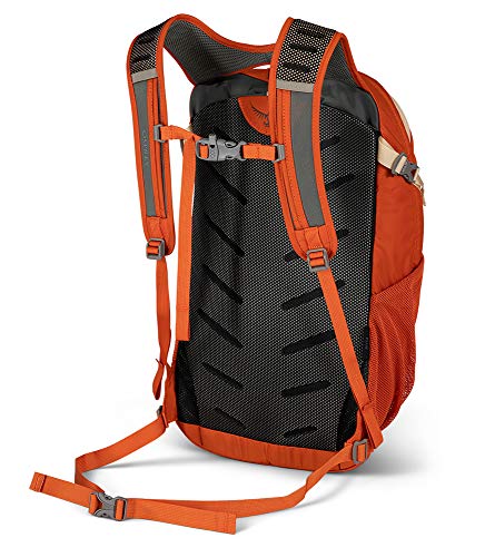 osprey daylite plus amazon