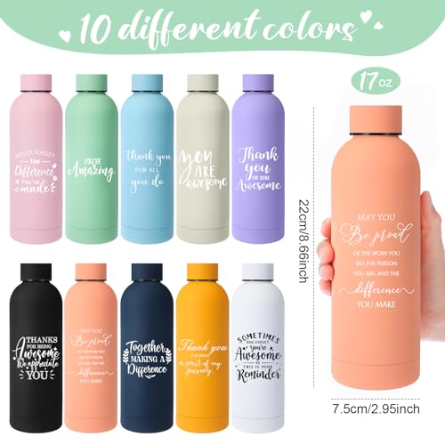 Bokon 10 Pcs Employee Appreciation Gifts Thank You Water Bottle Bulk 17 oz Stainless Steel Frosted Inspirational Team Bottle with Box for Coworker Teacher Nurse Staff Christmas Gifts(Motivational)