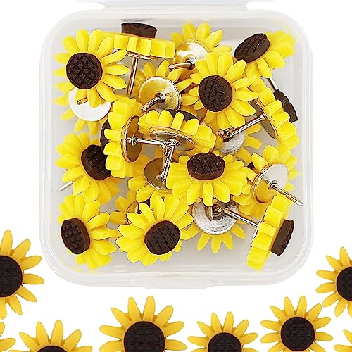 20 chinchetas decorativas de resina para tablero de corcho, dibujo, pared de fotos, tablón de anuncios