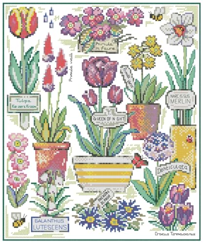 Awesocrafts Kit de punto de cruz, tulipán, prímula, narciso, botánico, floral, insectos, patrones fáciles, punto de cruz, bordado, costura, suministros de 14 quilates, 2 hebras