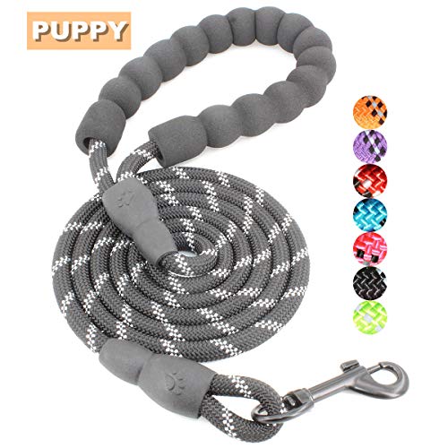 BAAPET 5 FT Strong Dog Leash with Comfortable Padded Handle and Highly Reflective