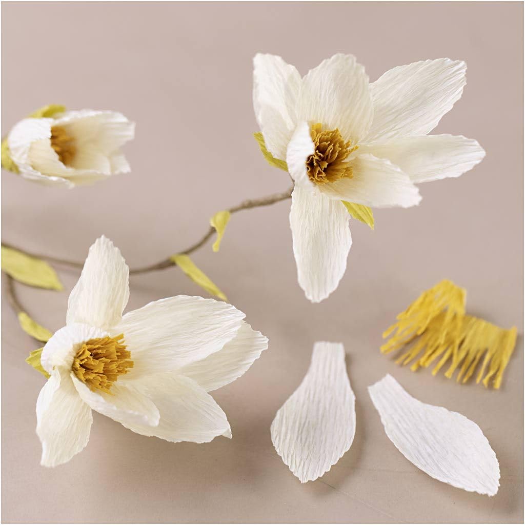Creativ Company - Mini Hobbyset Crêpepapier - Magnoliatak Creativ Company - Mini Hobbyset Crêpepapier - Magnoliatak