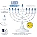 Traditional Large White LED Menorah Low Voltage Hanukkah Menorah - Blue Holiday Bulbs - Battery or USB Powered - Includes a Micro USB 4' Cable - Chanukah Homes, Offices and Dorm Rooms!