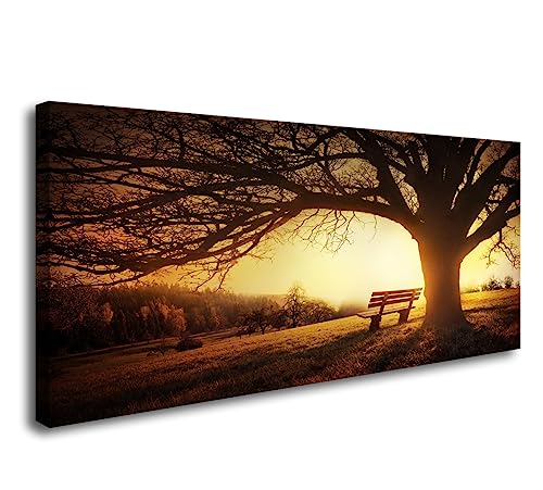 Muolunna Wall Art Decor Canvas Print Picture Big Trees in Sunset 1 Panel Golden Sunset Forest Natural Landscape Painting Artwork for Living Room Bedroom Office Home Wall Decor Framed Ready to Hang