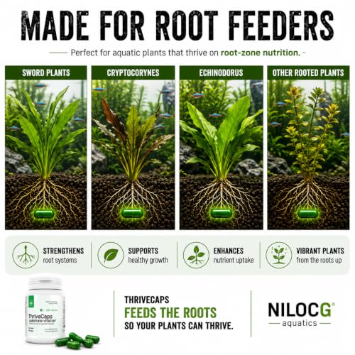 Image of NilocG ThriveCaps Aquarium Root Fertilizer for Planted Tanks, 60 Caps