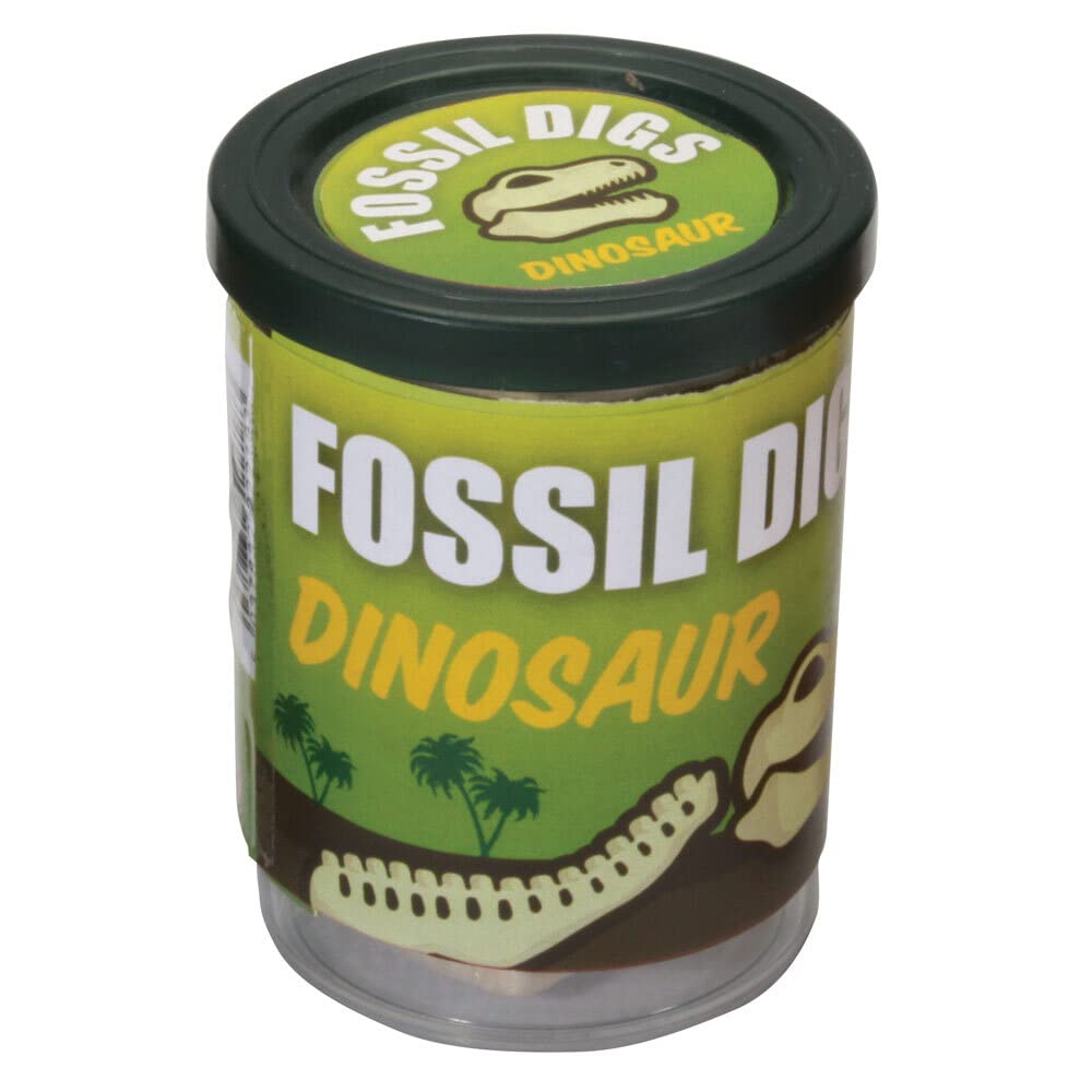 Assorted Fossil Dig in Tub, 6x4x2.5 cm - Image 3