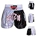 Farabi Sports Muay Thai Short Kickboxing MMA Mix Martial Arts Training Short Boxing Trunk (Black/White, L)