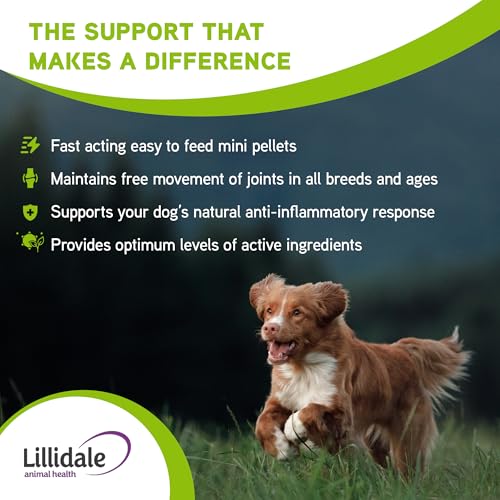 Lillidale ProJoint 500g - Joint Supplement for Dogs with Glucosamine and Chondroitin - Premium Anti-Inflammatory Support - Mobility - Hip & Joints - Soothes Stiffness - Dog Joint Supplement - Image 3