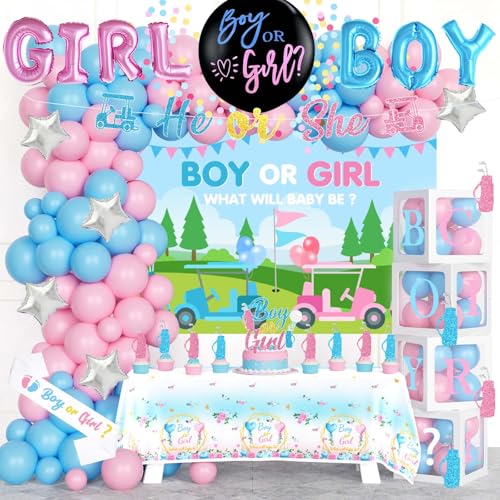Fiesec Golf Gender Reveal Decorations, Baby Boy Or Girl Gender Reveal Party Decor, Golf Club Putters Backdrop Balloon Banner Tablecloth Box Sash For Caddie Be Gender Reveal Supplies