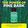 Viva Naturals Pycnogenol 100mg - French Maritime Pine Bark Extract – Provides Antioxidants that Help Fight Free Radical Damage, 60 Veggie Capsules #1