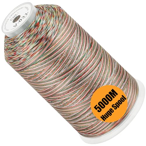 Image of New brothread - Single Huge Spool 5000M Each Polyester Embroidery Machine Thread 40WT for Commercial and Domestic Machines - Variegated Color-V-031
