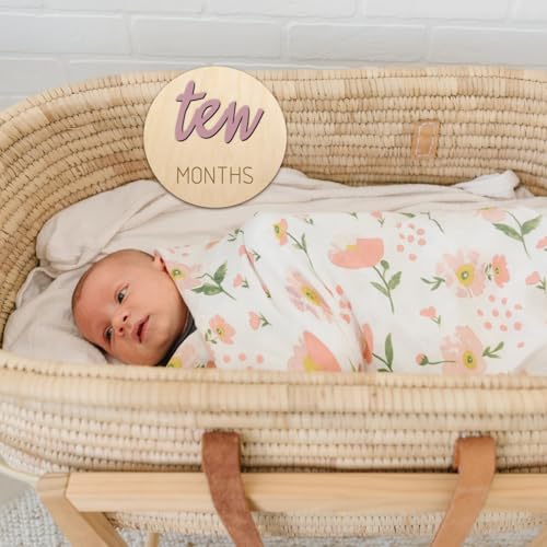 Image of Baby Monthly Milestone Markers Disc, Wooden 3D Milestone Cards for Photos, Baby Announcement Sign, 1-12 Months, wooden baby milestone sign (Blush)