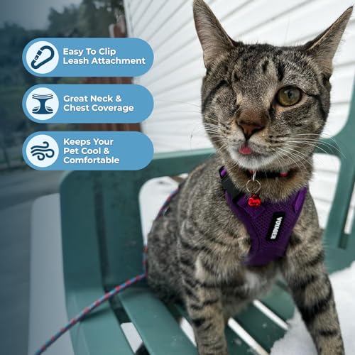 Image of Voyager Escape-Proof Step-in Lock Cat Harness & 5ft Neoprene-Handle Leash Set All-Weather Mesh with Reflective Stitching for Small to Large Cats by Best Pet Supplies, Purple, XXS