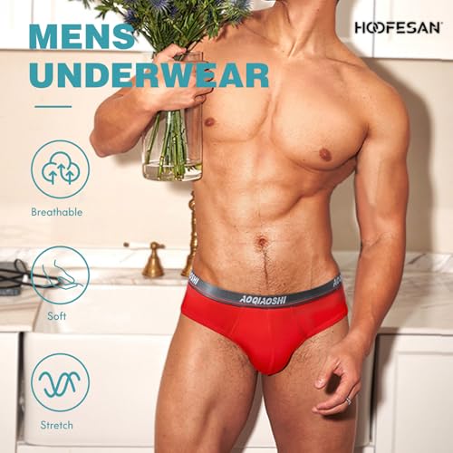 HOOFESAN Mens Modal Microfiber Underwear Briefs Low Rise Support Brief Elastic Waistband Briefs Underpants 4 Pack2