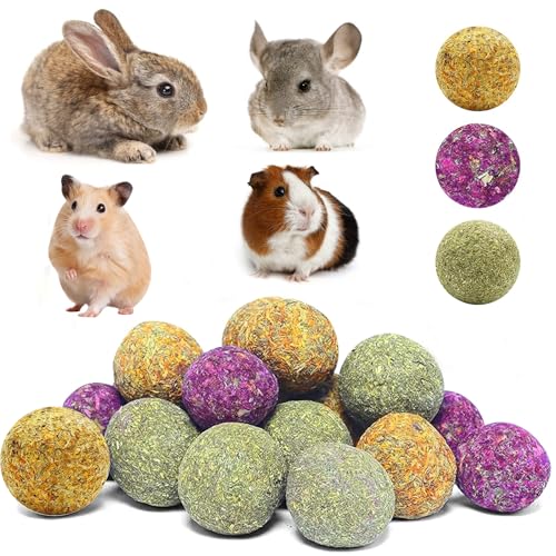AMSGANK 12 Stück Kaninchen Kauspielzeug, Kaninchen-Kauball Beschäftigung Timothy Gras Mahlkauspielzeug...