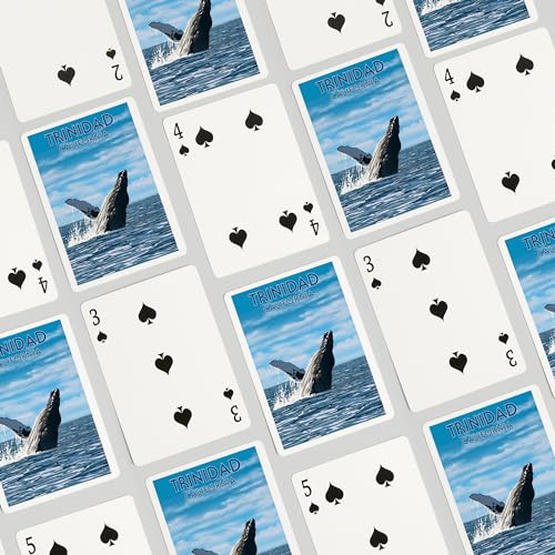 Lantern Press Baraja de Poker 52 Cartas Humpback Whale miniatura 4