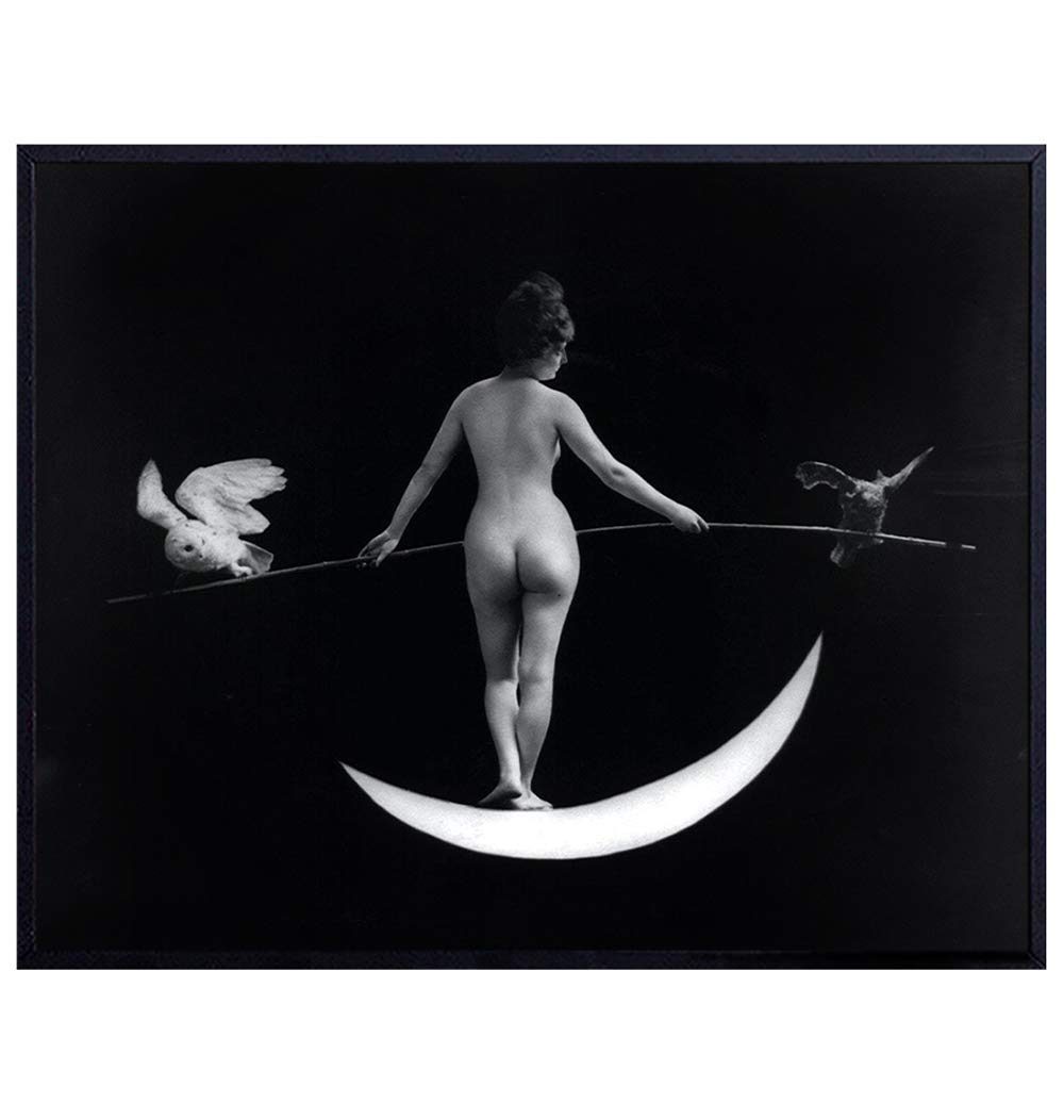 Moon Goddess - Moon Wall Decor - Owl Wall Decor - Moon Art Goth Room Picture - Pagan Print - Gothic Home Artwork - Goth Gifts for Women - Night Owl - Paganism Vintage Photos - Witch Decorations