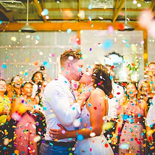 Homeemoh U1190002 10G Circle Tissue Paper Confetti thumb #2