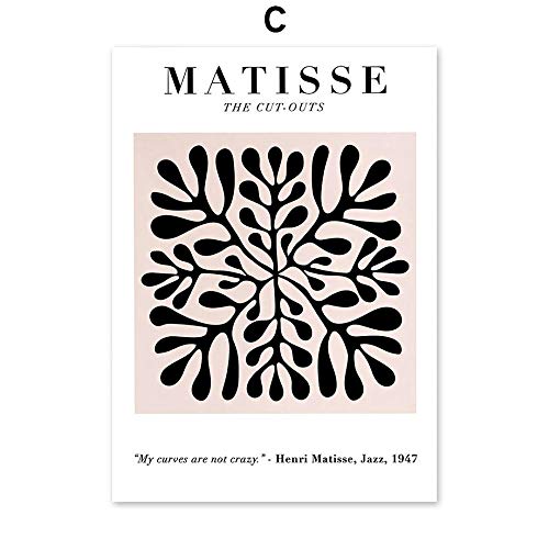 DMPro Vintage Abstracto Matisse Picasso Hoja Poster Impresiones NóRdico Pared Arte Moderno Lienzo Pinturas Living HabitacióN Hogar Cuadro Pared Decoracion 40x60cm Cover