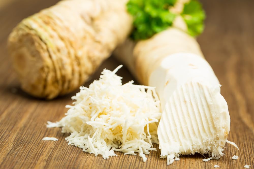 1 lb Big Top Horseradish Roots CZ Grain