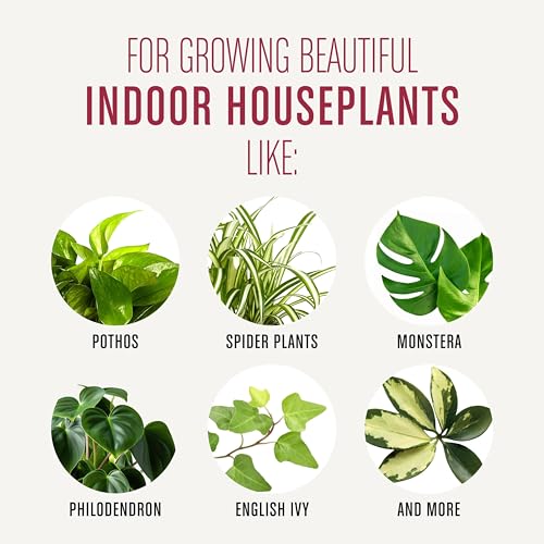 Miracle-Gro-Houseplant-Potting-Mix-Fertilized-Perlite-Soil-for-Indoor-Gardening-Designed-to-Be-Less-Prone-to-Gnats-4-qt