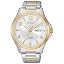 Silver/Gold Tone Bracelet & White Dial