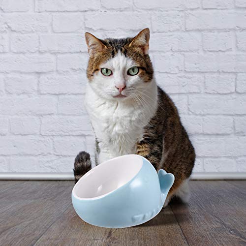 Série animal fácil de limpar tigela de cerâmica para animais de estimação tigela para gatos tigela d