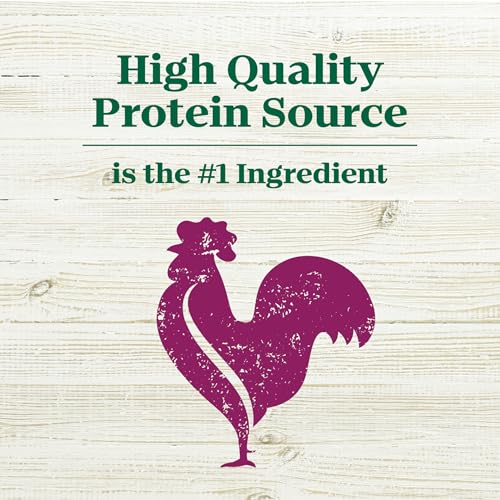 Image of Nutro Max Adult Recipe Dry Dog Food, Farm-Raised Chicken, 4 lb