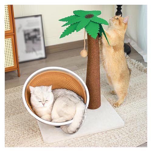 L ܌ V̖ AVRTCU ܂Ƃ L 62cm {[t ߂ǂL Ly AgݗĊȒP ^s XgX u^ ȃXy[X